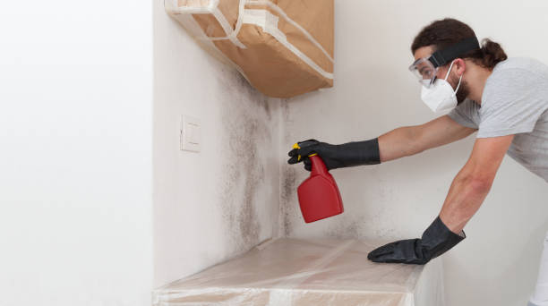 Professional Basement Mold Remediation technician working in Bloomingdale, NJ